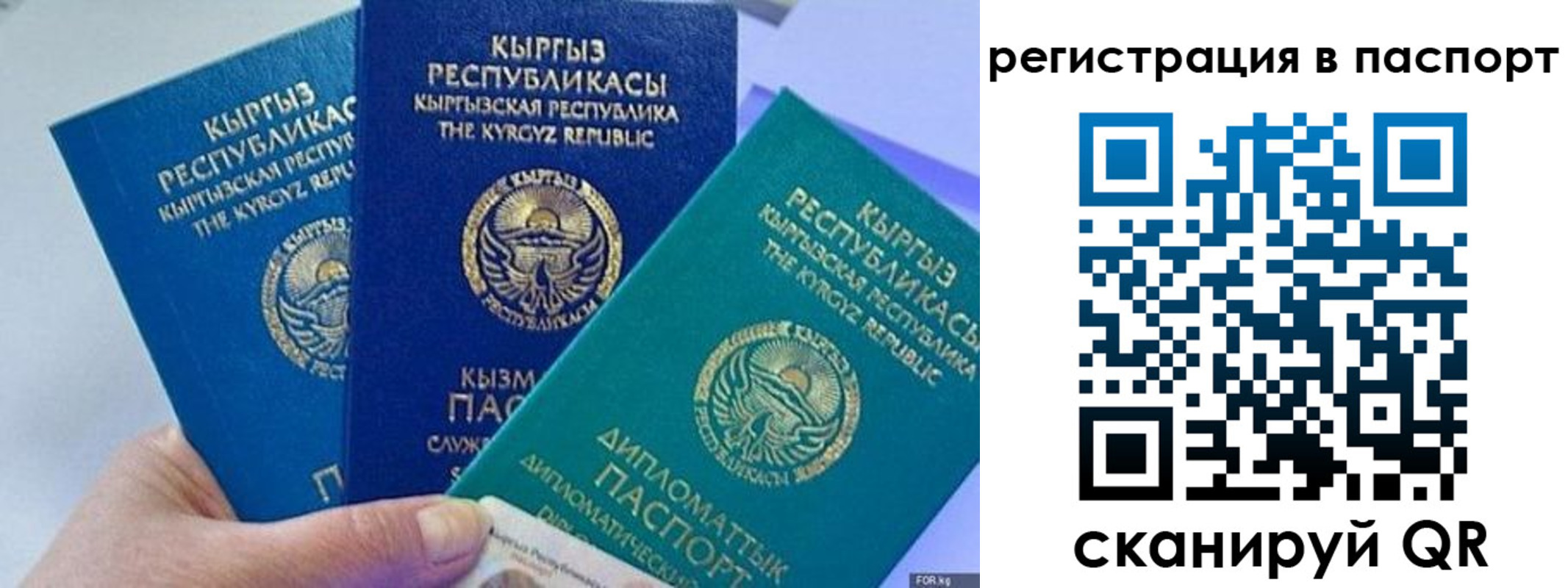 прописка 2025 в Называевске